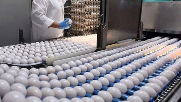 پیشنهاد جدید برای شفافیت در بازار تخممرغ: راهکاری نوین برای اعتمادسازی و تنظیم قیمتها در ایران. جزئیات این طرح را بخوانید!